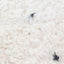 Tapis Berbere marocain pure laine 156 x 242 cm - AFKliving