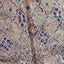 Tapis Berbere marocain pure laine 180 x 363 cm - AFKliving