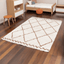 Tapis shaggy doux et volumineux pour intérieur chaleureux TIFIN - AFKliving