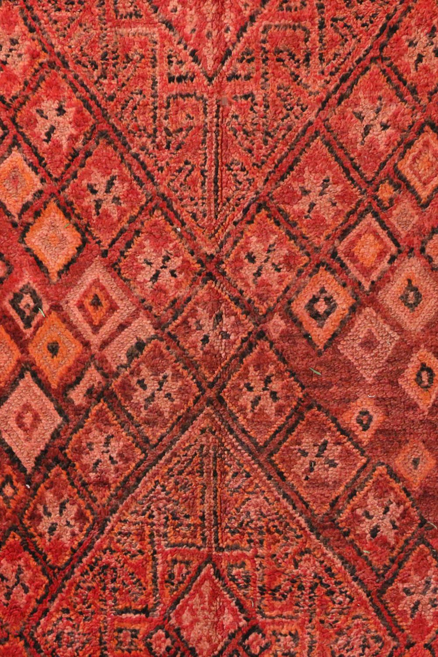 Tapis Berbere marocain pure laine 159 x 290 cm - AFKliving