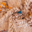 Tapis de couloir Berbere marocain pure laine 78 x 200 cm - AFKliving